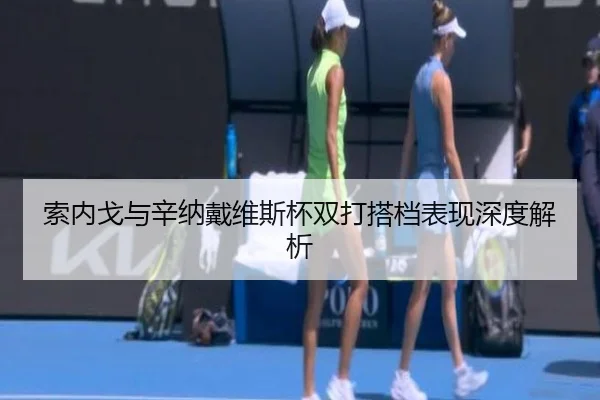 索内戈与辛纳戴维斯杯双打搭档表现深度解析